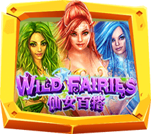 WILD FAIRIES เกมสล็อตออนไลน์ 3สาวนางฟ้า