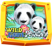 wild giant panda เกมสล็อตออนไลน์ 2021 SUPERSLOT