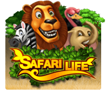 ทดลองเล่นสล็อต Safari Life