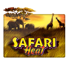 ทดลองเล่นสล็อต Safari Heat
