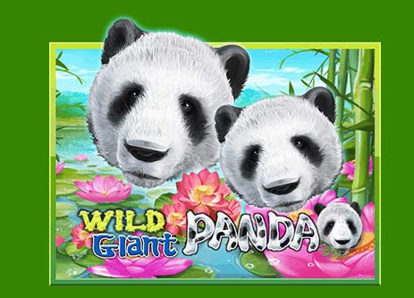 เล่นสล็อต Wild Giant Panda