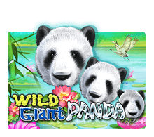 ทดลองเล่นสล็อต Wild Giant Panda