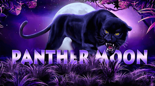 รีวิวเกมสล็อต Panther Moon