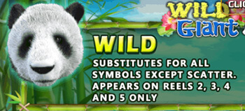 Wild Giant Panda สัญลักษณ์ Wild