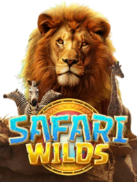 รูปแบบของเกม Safari Wilds