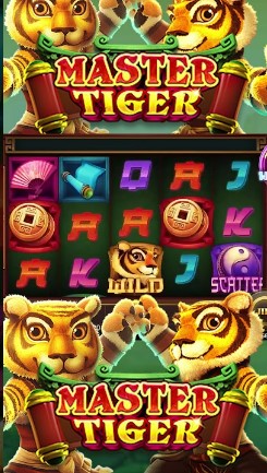 รูปแบบของเกม Master Tiger